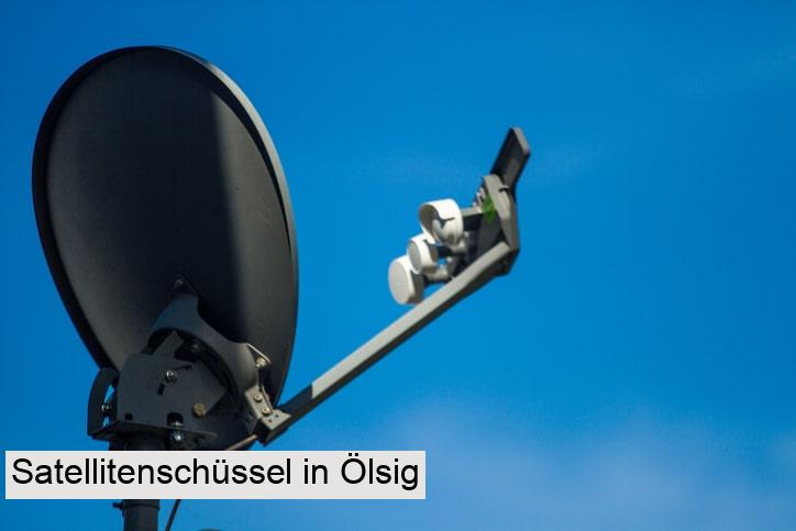 Satellitenschüssel in Ölsig